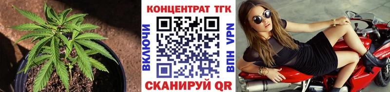 цены наркотик  Камышлов  площадка какой сайт  Дистиллят ТГК вейп  МЕГА ТОР 
