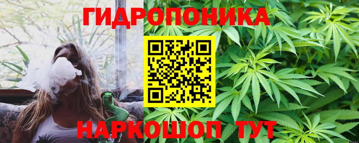 Бошки марихуана THC 21% Камышлов